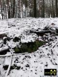 Steinbruch am Finkenberg bei Babben nahe Calau, Brandenburg, (D) (14) 24. Januar 2015 Aufschluß im anstehenden Raseneisenstein.JPG